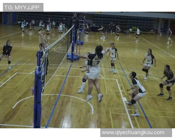 深圳排球队的灵活性揭秘：排球技艺与团队协作的完美结合