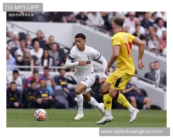 足球明星与各国国旗的精彩瞬间全景展示图集 足球明星与各国国旗的精彩瞬间全景展示图集