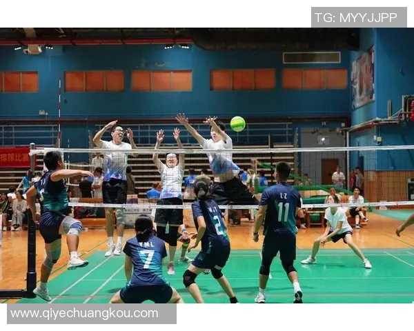 广州排球队实力分析与表现评估：数据透视与未来展望